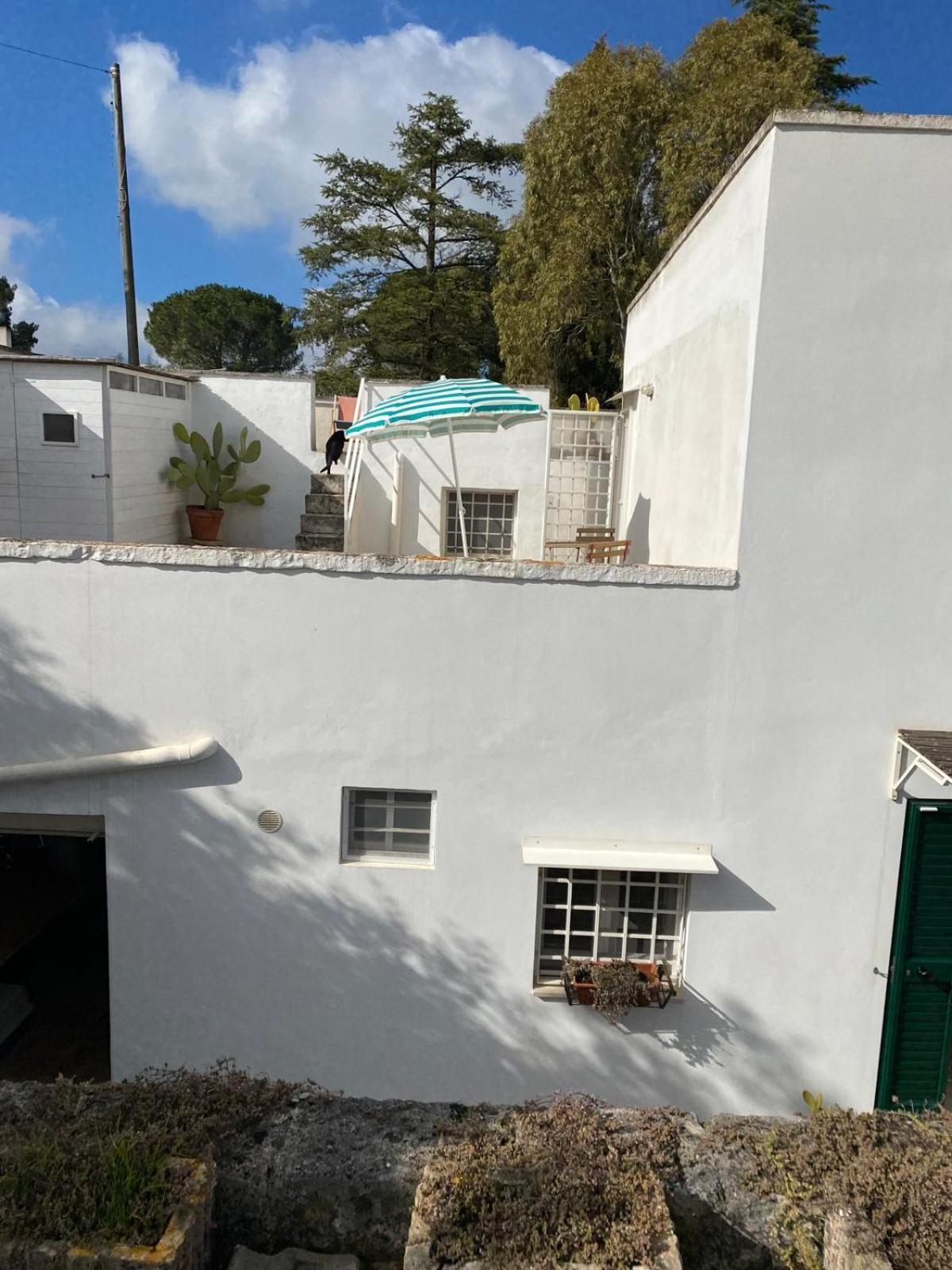 Casa Gianre Vendégház Monopoli Kültér fotó